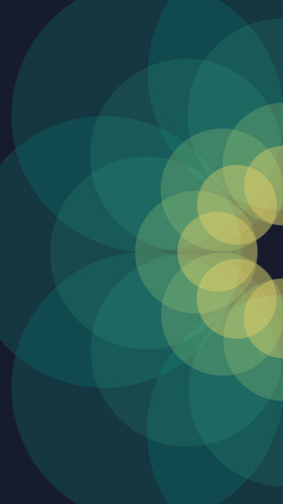 Green yellow flower black center - golden ratio illustration free wallpaper