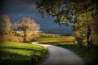 Dirt road green field trees 3 - stormy weather free wallpaper
