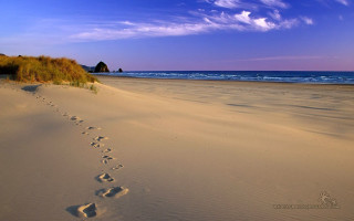 Beach footprints blue sky clouds - a small house free wallpaper