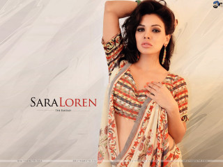 Woman sari posing picture hands - a woman in a sari free wallpaper