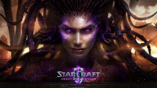 Starcraft ii character purple hair - a character free wallpaper