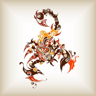 Scorpion tattoo design white background - a white background stock photo free wallpaper