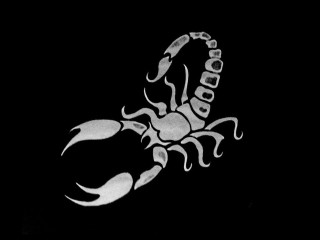 Scorpion tattoo black background white - back side free wallpaper for desktop