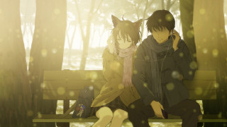 Couple bench woods cat head - a couple sitting free wallpaper