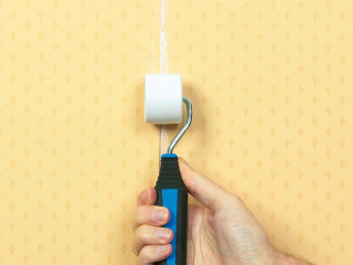 Person holding blue black object - end free wallpaper for desktop