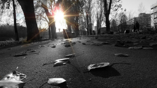 Street fallen leaves people walking - autumn free wallpaper