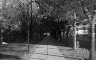 Sidewalk trees street sign black - a street sign free wallpaper