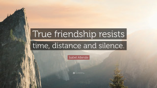True friends and their friends - distant free wallpaper