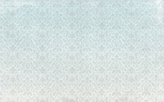 White background flower pattern light - canaletto free wallpaper