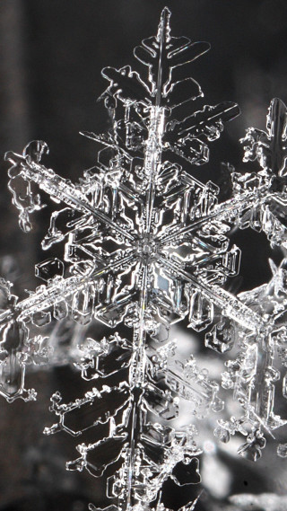 Snowflake black white background photo - free christmas wallpaper