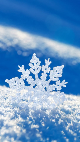 Snowflake sunny day blue sky - free winter wallpaper for mobile