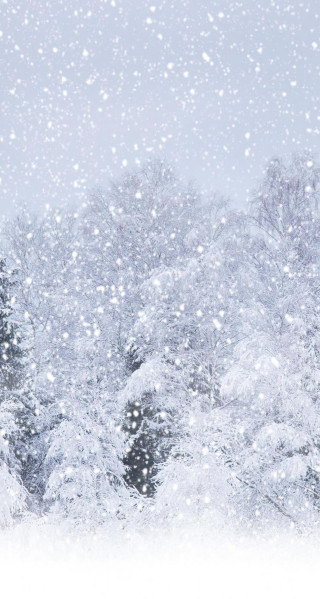 Snowy scene trees sky background - free winter wallpaper for mobile