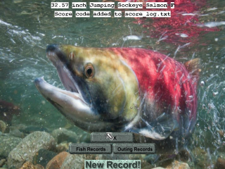 Fish swimming water rocks caption - a caption below free wallpaper