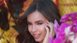 Woman smiling flower cellphone bokeh - a purple flower free wallpaper