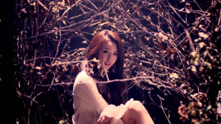 Woman tree branch smile winter - stunning free wallpaper