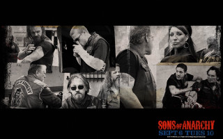 Collage facial expressions hair styles 2 - a beard free wallpaper for desktop