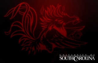 Red black background red bird - carol sutton free wallpaper