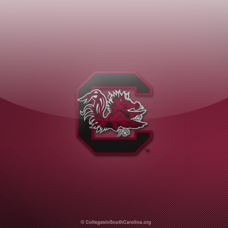 College southcarolina logo red black - cleve gray free wallpaper for tablet