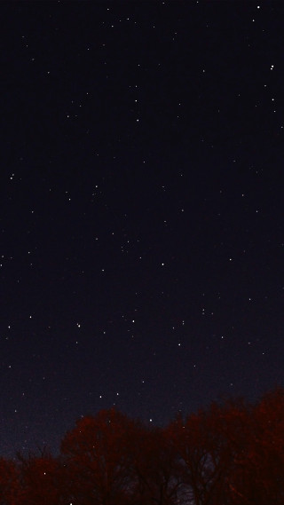 Night sky stars trees building - a night sky free wallpaper