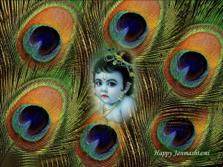Child peacock feathers happy janmasan - divinity free wallpaper for desktop