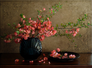Vase pink flowers table plate - a plate free wallpaper