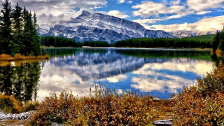 Mountain range lake trees shrubs - tree and shrubs free wallpaper