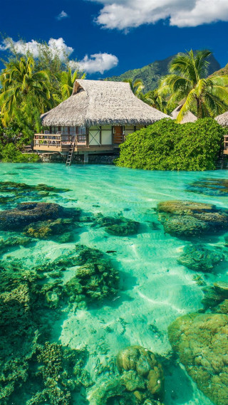 Tropical island lagoon dock thatched - free spring wallpaper