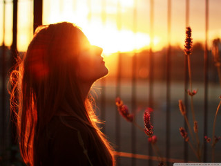 Woman fence sunset hair blowing - sunlight free wallpaper for desktop
