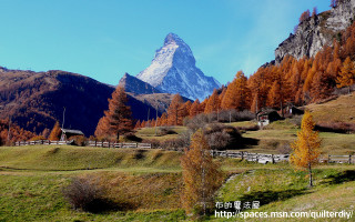 Snowcapped mountain grassy field trees - peak in the background free wallpaper
