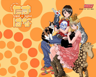 Cartoon man woman horse cats - a horse free wallpaper