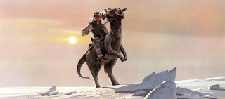 Camel rider snowfield bird drew - a camel free wallpaper