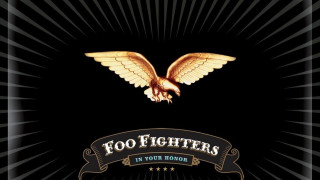 Bird wings banner foo fighters - a picture of a bird free wallpaper