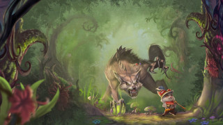 Wolf gnome forest flowers plants - a man in the foreground free wallpaper