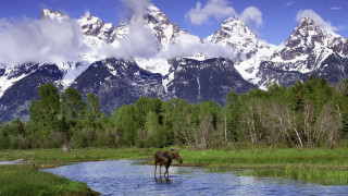 Moose river mountain snow nature - douglas robertson bisset free wallpaper