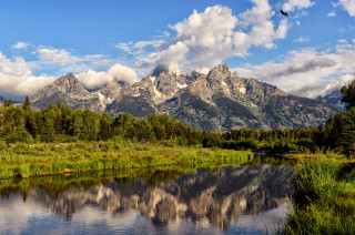 Bird flying lake mountain range - ansel adams free wallpaper