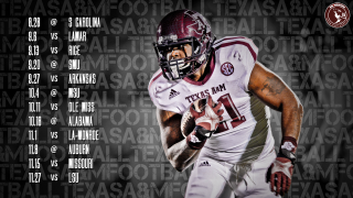 Football player running ball texas - the ball free wallpaper