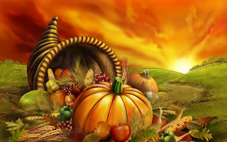 Turkey pumpkin autumn field cornucopia - fall vibrancy free wallpaper