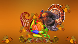 Turkey cornucopia pumpkin autumn folklore - a turkey free wallpaper