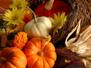 Pumpkins gourds table flowers basket - allen tupper true free wallpaper for desktop