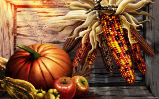 Cornucopia corn apples pumpkins wooden - apple free wallpaper