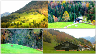 Mountain house forest animals series - a sery of photos free wallpaper