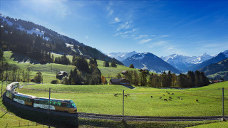 Lush green countryside train mountains - cow free wallpaper