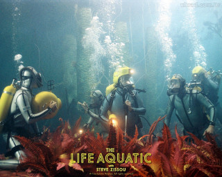 Scubas life aquatic sign plants - front of them free wallpaper