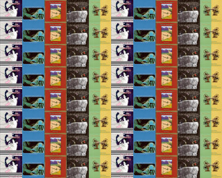 Colorful pattern cat window sill - david wojnarowicz free wallpaper