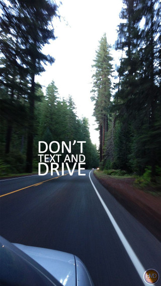 Car driving road forest trees - text free wallpaper for mobile