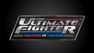 Ultimate fighting match logo design - this image free wallpaper