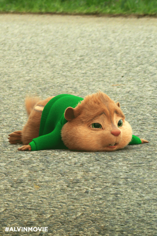 Cat laying green shirt wide - back free wallpaper for mobile