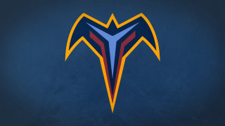 Blue orange bird red yellow - conroy maddox free wallpaper