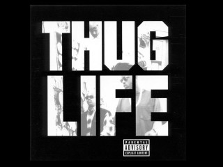 Thug life man hat transgressive - free aesthetic wallpaper for desktop