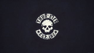 Skull beard name image description - better free wallpaper for desktop